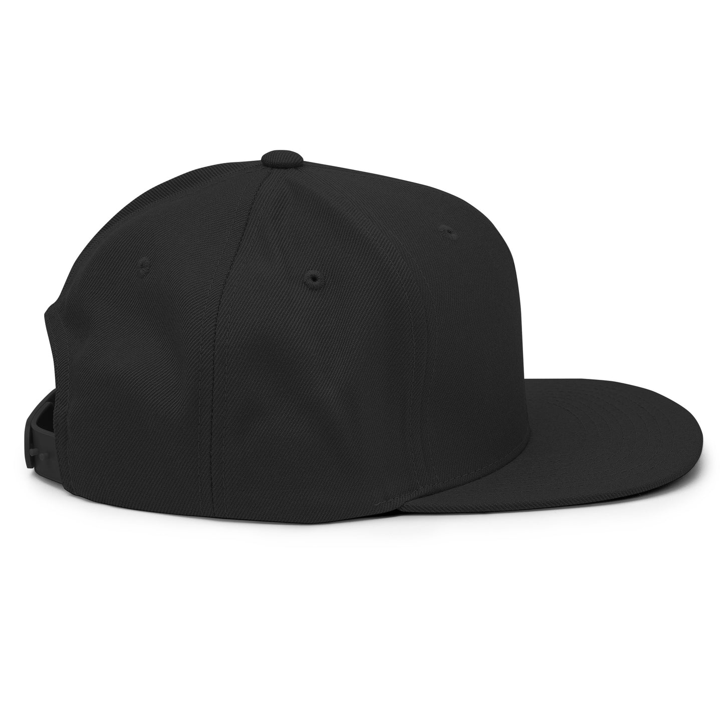 Baseball Edition structured snapback hat in black with flat brim and high-profile 6-panel crown | Our Game | An Athlete Trains