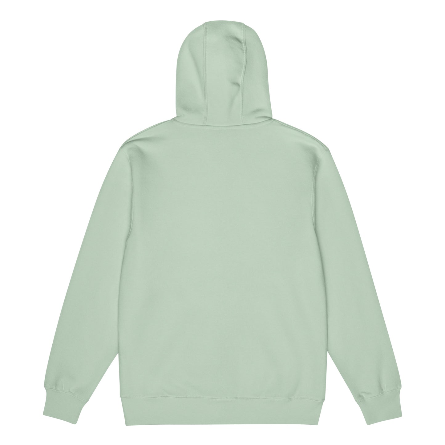Warm fleece full zip hoodie in 8 oz hoodie in seafoam green with black switch\off and logo embroidery - An Athlete Trains.
