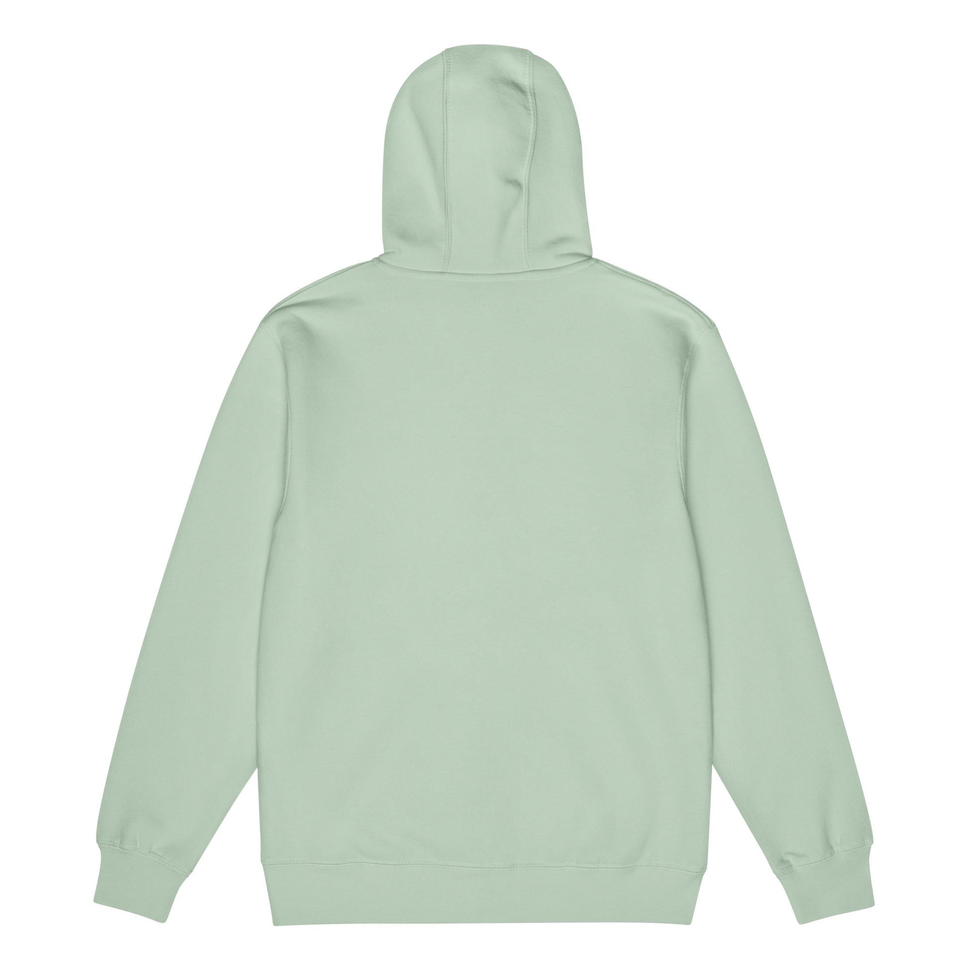 Warm fleece full zip hoodie in 8 oz hoodie in seafoam green with black switch\off and logo embroidery - An Athlete Trains.