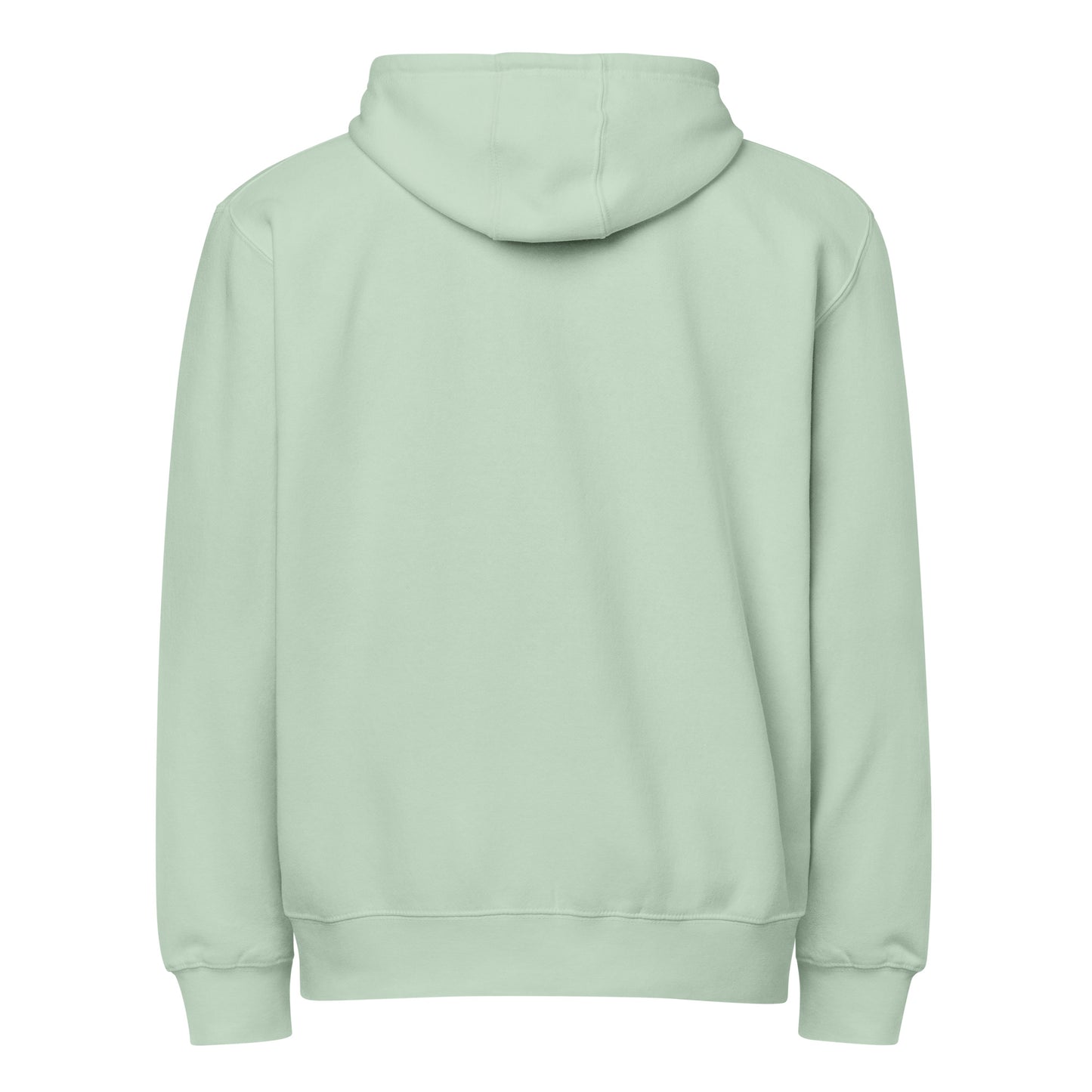 Warm fleece full zip hoodie in 8 oz hoodie in seafoam green with gray switch\off and logo embroidery - An Athlete Trains.