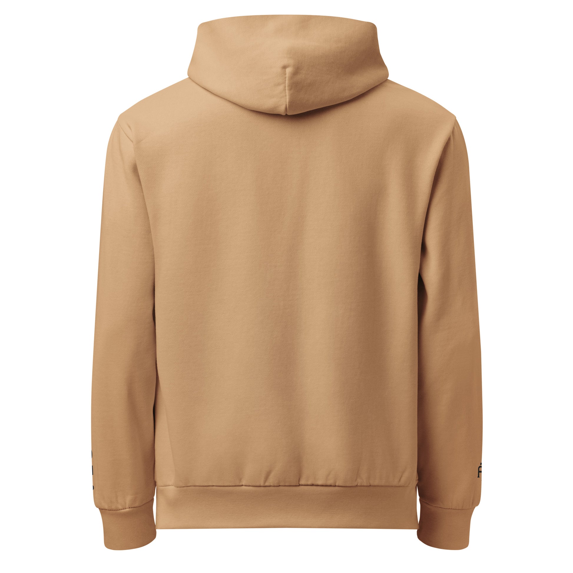 Burro color Seattle Edition 10oz heavyweight urban hoodie featuring Space Needle skyline embroidery and structured PNW style | Our City | An Athlete Trains