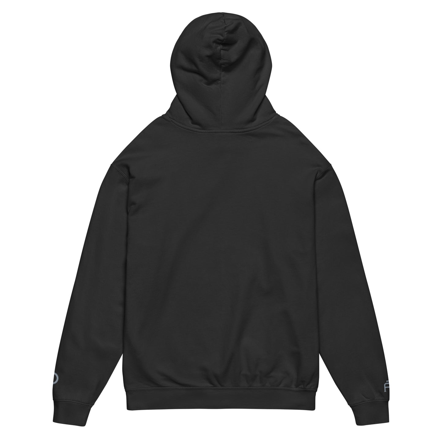 Vintage-style lightweight fleece hoodie in black - An Athlete Trains. Back view