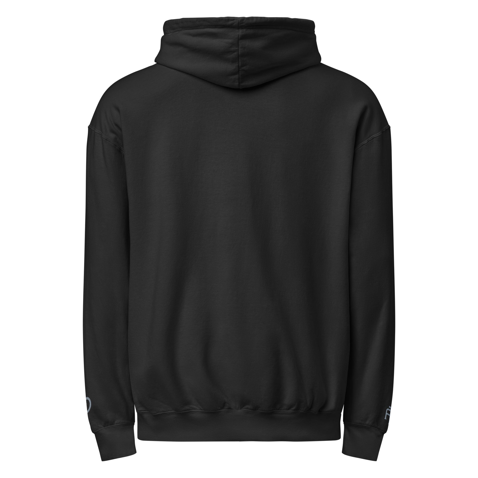Vintage-style lightweight fleece hoodie in black - An Athlete Trains. Back view