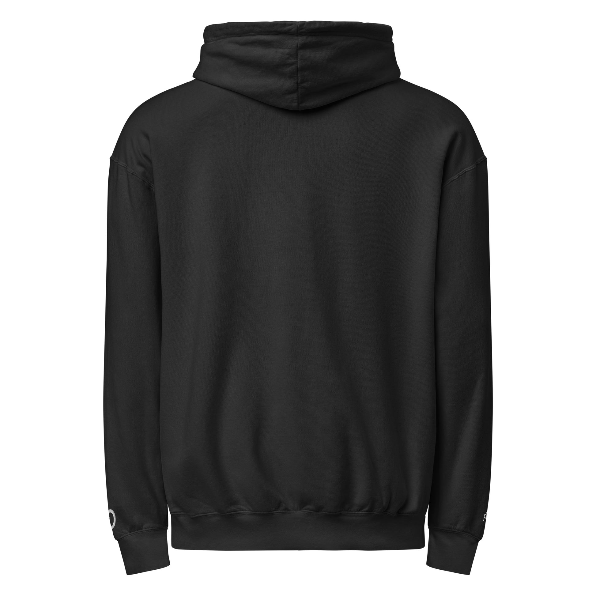 Vintage-style lightweight fleece hoodie in black - An Athlete Trains. Back view