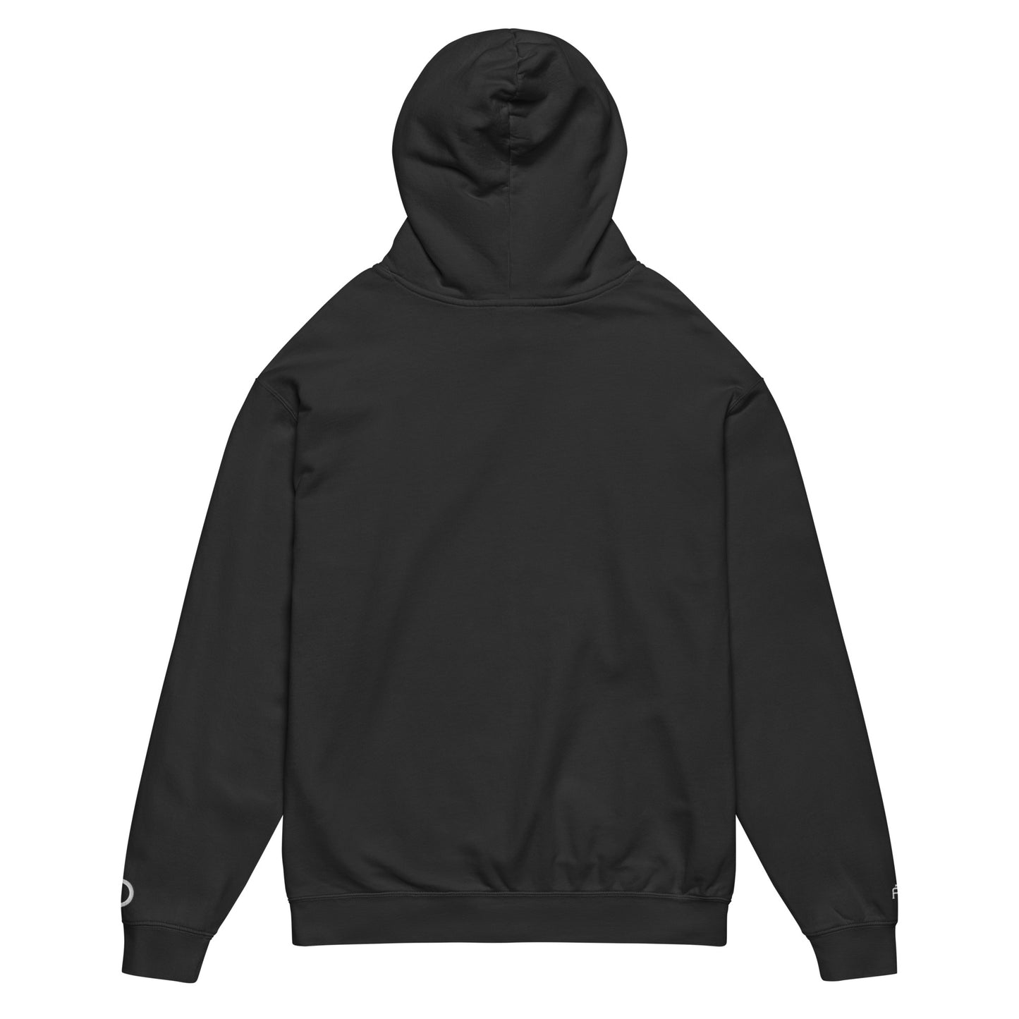 Vintage-style lightweight fleece hoodie in black - An Athlete Trains. Back view