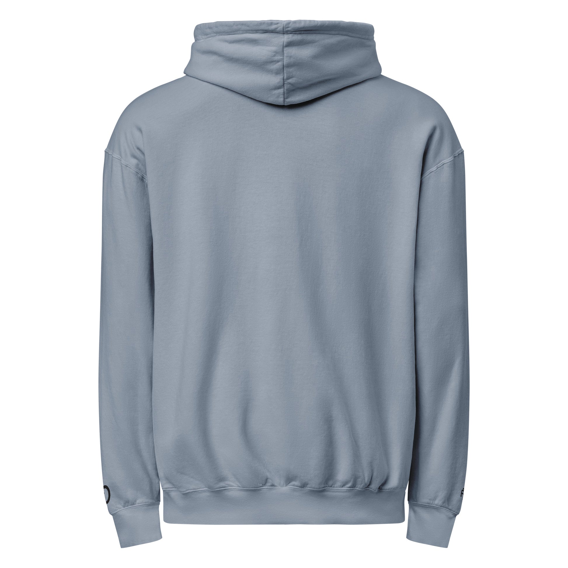 Vintage-style lightweight fleece hoodie in blue jean - An Athlete Trains. Back view