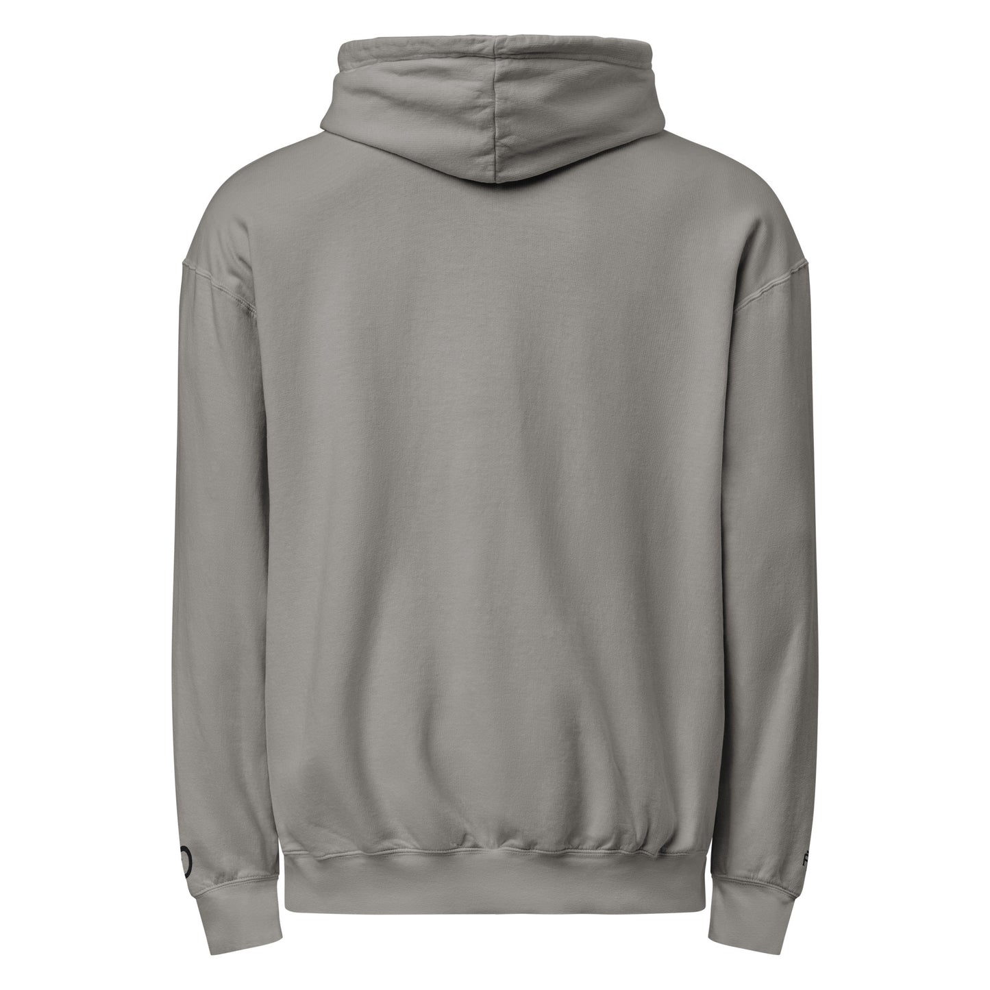 Vintage-style lightweight fleece hoodie in gray - An Athlete Trains. Back view