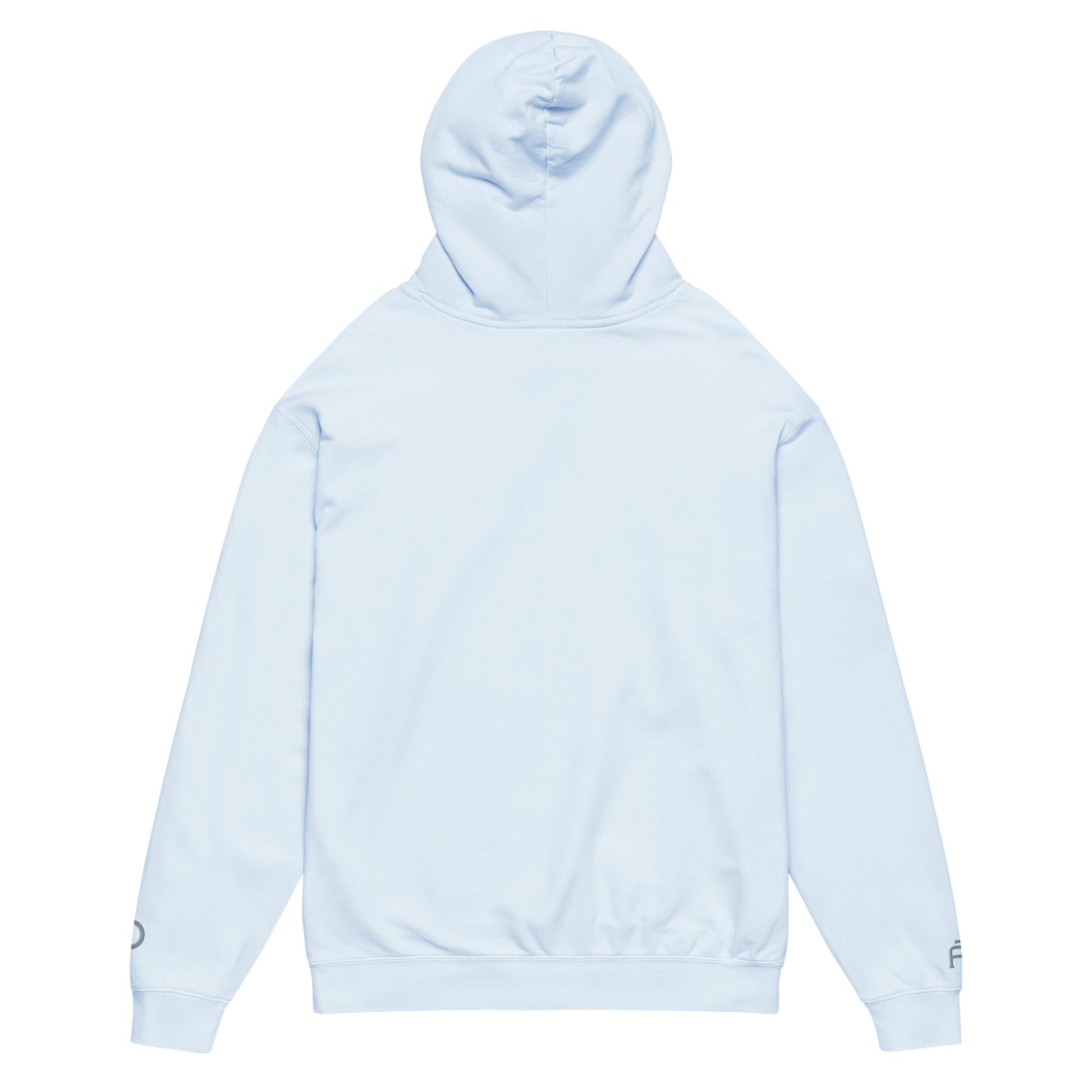 Vintage-style lightweight fleece hoodie in hydrangea - An Athlete Trains. Back view