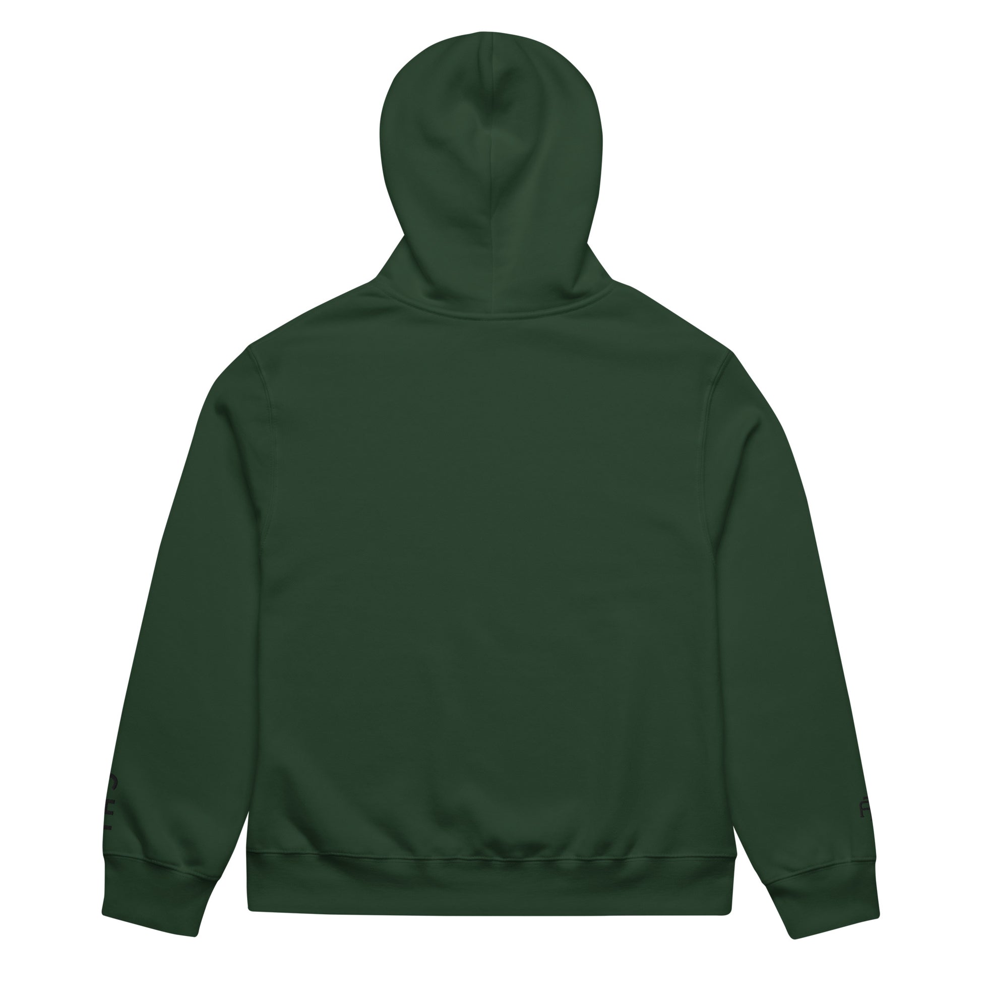 Forest Green Chicago Edition oversized 10oz hoodie featuring relaxed fit and high-density Chicago skyline embroidery | Our City | An Athlete Trains