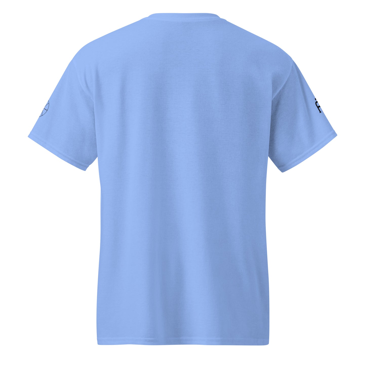 SWITCH/ON, unisex, moisture-wicking, training, activewear, dryblend t-shirt in Carolina blue and black edition basketball logo - An Athlete Trains