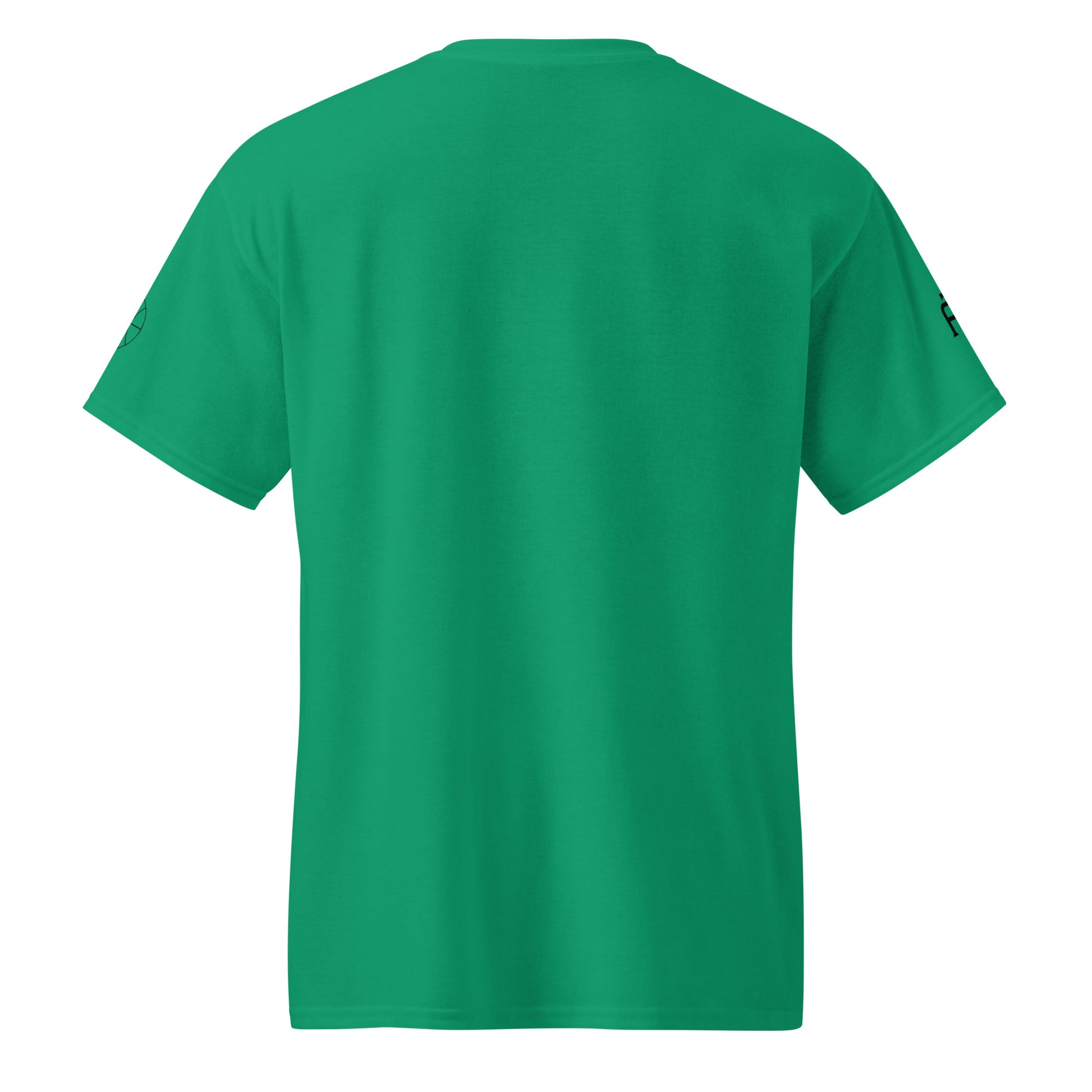 SWITCH/ON, unisex, moisture-wicking, training, activewear, dryblend t-shirt in Kelly green and black edition basketball logo - An Athlete Trains