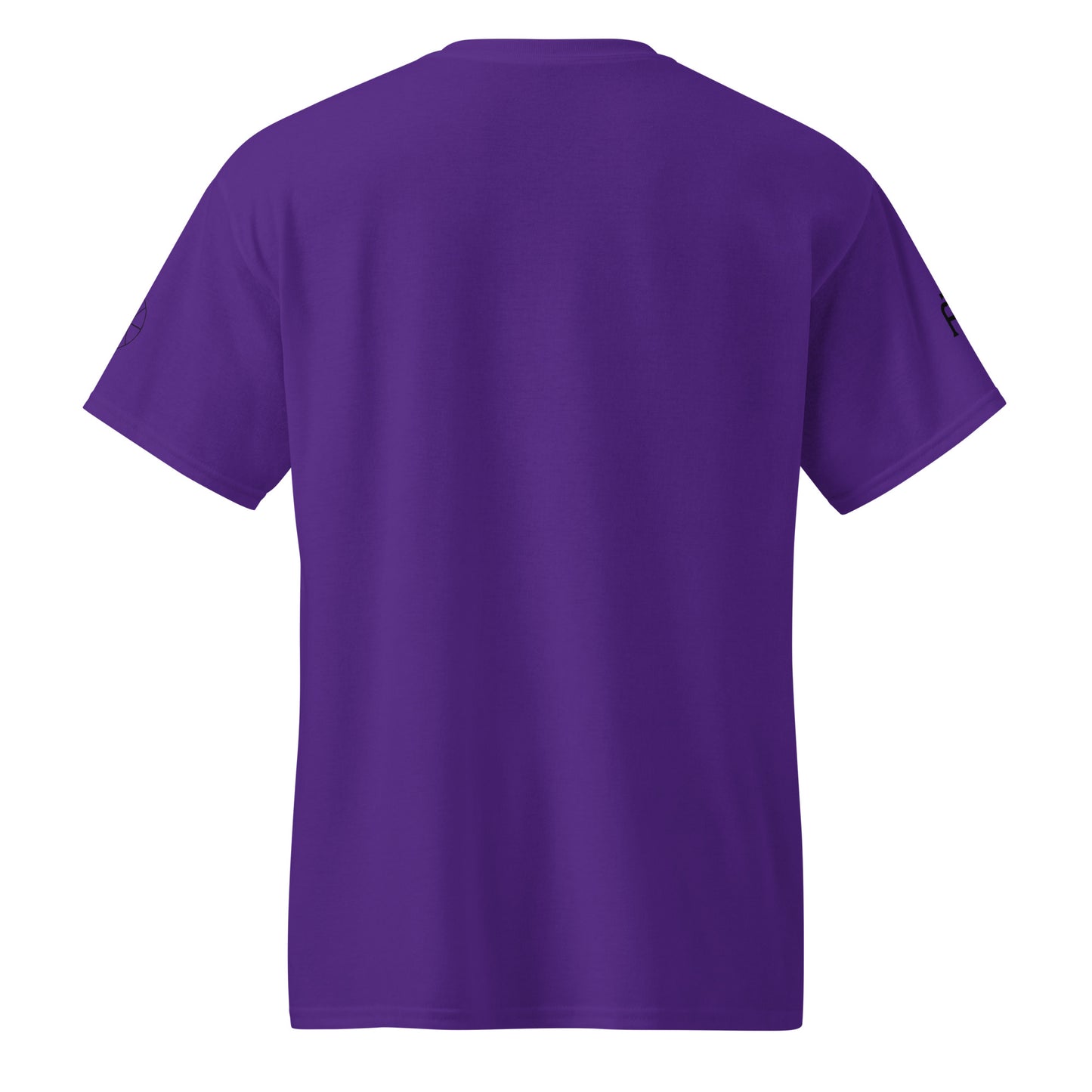 SWITCH/ON, unisex, moisture-wicking, training, activewear, dryblend t-shirt in purple and black edition basketball logo - An Athlete Trains